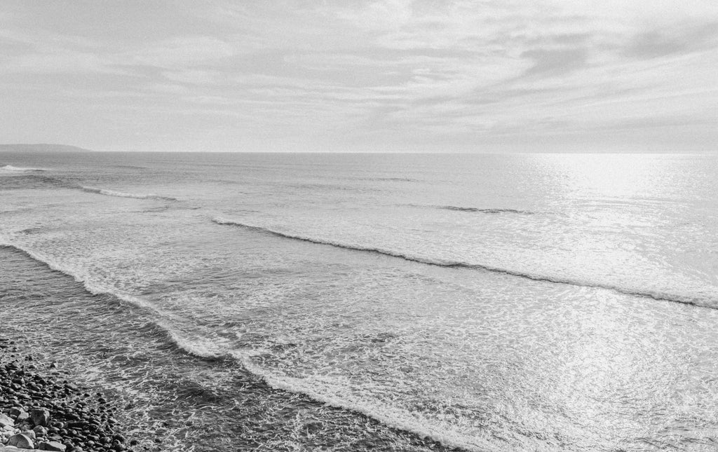 Discovering La Jolla: A Day of Wellness, Adventure, and Flavor with SHASHI